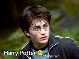 Harry Scarface. Joke : r/HarryPotterMemes