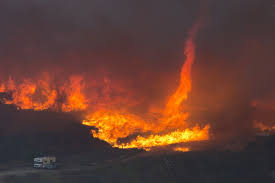 Questions about writing your legally binding will online? More Fire Tornadoes To Hit Australia As Climate Change Sets In Bloomberg