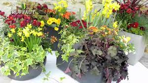 On définit comme plantes vivaces (ou plantes pérennes) les plantes vivant plusieurs années, tout en refleurissant à une étape de la plantation des plantes vivaces vient déjà s'ajouter au labeur de septembre au jardin. Faire Des Jardinieres Fleuries De Saison Truffaut Youtube
