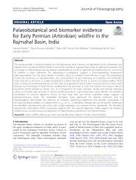PDF) Palaeobotanical and biomarker evidence for Early Permian (Artinskian)  wildfire in the Rajmahal Basin, India