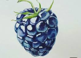 Epingle Par Maris Morar Sur Background Pictures Dessin Fruits Art De Crayon De Couleur Dessin Couleur