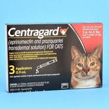Natural heartworm prevention & treatment. Heartworm Prevention For Cats Praziquantel For Cats Vetrxdirect