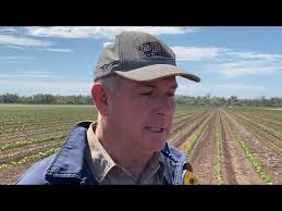 Nigel Burnett elected new Chair of Cotton Australia Board
