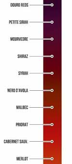 Defining Full Bodied Red Wines Wine Folly Wine Folly Full Bodied Red Wine Wine Facts