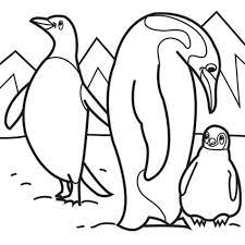 Show your kids a fun way to learn the abcs with alphabet printables they can color. Arctic Animals Coloring Pages Free Image Download
