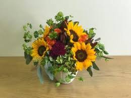 It is part of the new york metropolitan area and is part of the state's skylands region, a term promoted by the new jersey commerce, economic growth, & tourism commission to encourage tourism. Metropolitan Plant And Flower Exchange Fort Lee West Orange Paramus Nj