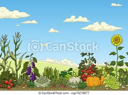 Vegetable Garden Bed Landscape With Vegetable Garden Bed Vector Illustration Canstock
