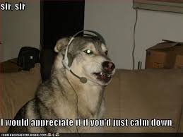 Sir Sir Funny Memes About Work Funny Dogs Funny Dog Pictures