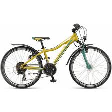 Winora Rage 24 Zoll Shimano 21 Gang Kinderfahrrad