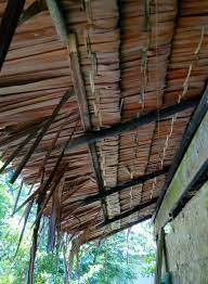 Atap rumbia/atap daun kirai/atap daun rumbia/hateup/rumbia. Hati Kampung Sapa Dulu Pernah Merasai Tinggal Di Rumah Kg Yg Sejuk Beratapkan Daun Rumbia Dah Pasti Banyak Menyimpan Kenangan Yg Di Tempuh Baik Suka Mahu Pun Duka Kredit