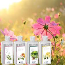 The Essential Oil Of Lampe Berger | Clean Air For Your Health