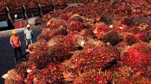 Not surprisingly, bpmb's gross impaired loans (gil). Felda Lodges Police Report Over Eagle High Deal