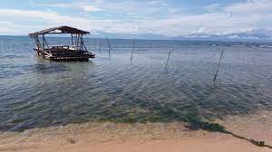 Find what you need at booking.com, the biggest travel site in the world. Ronco Beach Resort Updated 2021 Hotel Reviews Calatagan Philippines Tripadvisor
