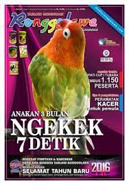 Waterbom is first and foremost spotless. Edisi 109 By Media Issuu