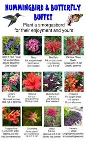 Attracting Hummingbirds And Butterflies To Your Garden Can Be Easier Than You Think We Suggest Planting An A Plants Butterfly Garden Design Hummingbird Garden