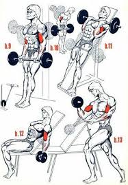 Kol Kasi Biceps Buyutme Programi 2020 Kol Kaslari Vucut Gelistirme Gym