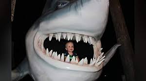 Their mother may see them only as prey. Shark Boy Baby Rescued And Returned To Shore By Great White The Spoof
