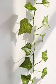 Decorative Vines Set Urban Outfitters Garden Vines Diy Projects For Bedroom Vines
