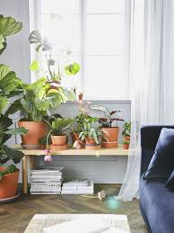 ingefara bloempot met schotel buiten binnen buiten terracotta 12 cm ikea ikea inspiratie woonruimtes tuinpotten