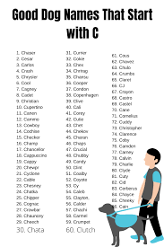 Here's a list of cute dog names for boy dogs from our easy to use puppy name generator! Dog Names That Start With C For Girl And Boy Dog