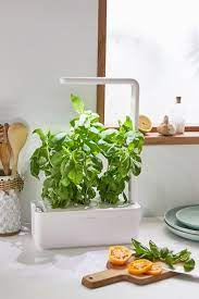 Click Grow Smart Herb Garden 3 Starter Kit In 2021 Home Vegetable Garden Smart Garden Herb Garden