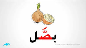 صور حرف ص يا جمالك في الكلمات يا حرف ص روعه Stuff To Buy