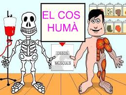 Activitats de ubicar noms en les parts de l'anatomia. Activitat Educativa40 Plastica Copia By Infantil Fedac Pont Major On Genially