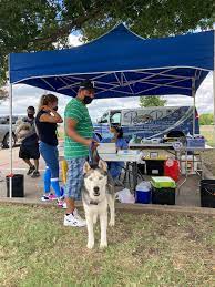 Low Cost Pet Vaccinations Vaccines Dallas-ft Worth Tx Penny Paws