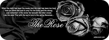 Black And White Flower Facebook Cover Photos The Rose Facebook Cover Images Fb Cover Photos Cover Photos