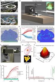 Malaysia big sweep results works for big sweep in malaysia only. Binocular Mirror Symmetric Microsaccadic Sampling Of Hyperacute 3d Vision Biorxiv