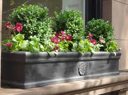 Pin By Michelle Wilde On Green With Envy Fall Window Boxes Window Box Flowers Window Planter Boxes