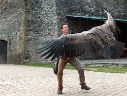 Harpy Eagle Der Grosste Adler Der Welt Die Spannweite Seiner Flugel Betrag Woodprojects Animals Beautiful Pet Birds Harpy Eagle