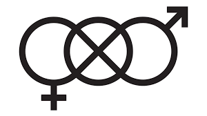 Find the perfect gender neutral symbol stock illustrations from getty images. Finnish Ngo Debuts New Symbol For Gender Neutral Bathrooms Yle Uutiset Yle Fi