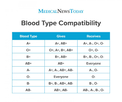Rarest Blood Type Chart And Compatibility
