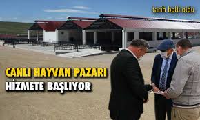 Bayburt Ta Yeni Yapilan Canli Hayvan Pazari Hizmete Giriyor Bayburt Medya Haberler Son Dakika Haberleri Haber Analiz Video