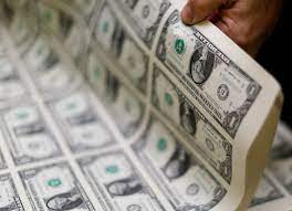 They are printed on a substrate that consists of purely cotton (e.g. See How Money Is Literally Made