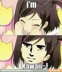 Im Kawaii Xd Anime Funny Otaku Anime Anime
