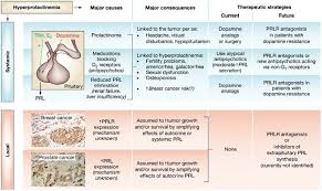 Image result for Prolactin