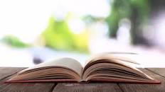 Image result for ‫دانلود کتاب مدیریت منابع انسانی در سازمانهای دولتی حسن درویش‬‎