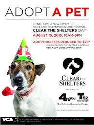 Pet adoption devore animal shelter photos. Weekend Pet Adoption Event To Clear The Shelters County Of San Bernardino Countywire