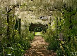 Experience Spring At England S Petworth House Wisteria Pergola Garden Photography Pergola