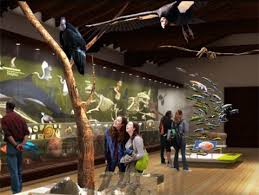 Santa Barbara Museum Of Natural History Remodel Approved The Santa Barbara Independent