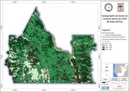 Image result for Crateranthus congolensis