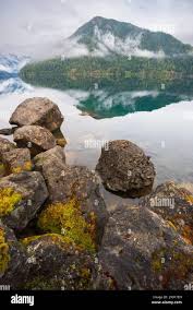 Misty washington woods hi-res stock photography and images