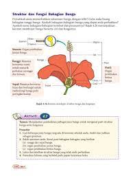 Check spelling or type a new query. Snt1 Bteks Bab 4 Pembiakan Bab4 7pembiakan Tumbuhan Flip Ebook Pages 1 17 Anyflip Anyflip