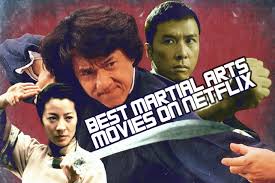 Here's the what you should check out! The 13 Martial Arts Movies On Netflix With The Highest Rotten Tomatoes Score Decider