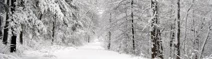Landscape Nature Dual Screen Wallpapers Hd Desktop Winter Dual Monitor Backgrounds 3840x1080 Wallpaper Teahub Io We have 55+ amazing background pictures carefully picked by our community. landscape nature dual screen