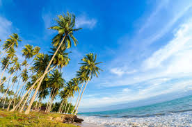 It's famous for its tourist attraction, that is labuan cermin. Wisata Air Biduk Biduk Keelokan Tersembunyi Di Ujung Kalimantan Timur