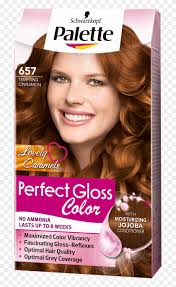 You are more likely to get a reddish brown hue to your hair than anything else. Cherry Blonde Hair Cinnamon Color Hair Dye Hd Png Download 970x1400 1801085 Pngfind