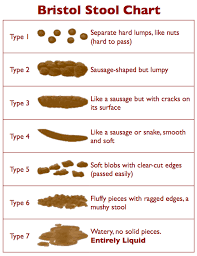 Jane Celebrity Bristol Stool Chart